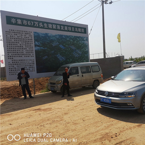辛集市67万头生猪聚落采购香蕉视频在线观看视频钢三柱香蕉视频APP软件免费下载